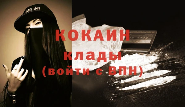 бошки Снежинск